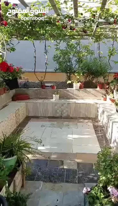 بيت ومنازل للبيع