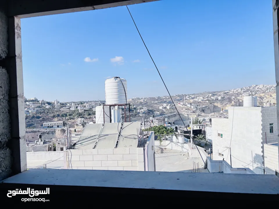 شقة عضم في تفوح