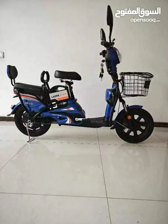Electric delivery bike