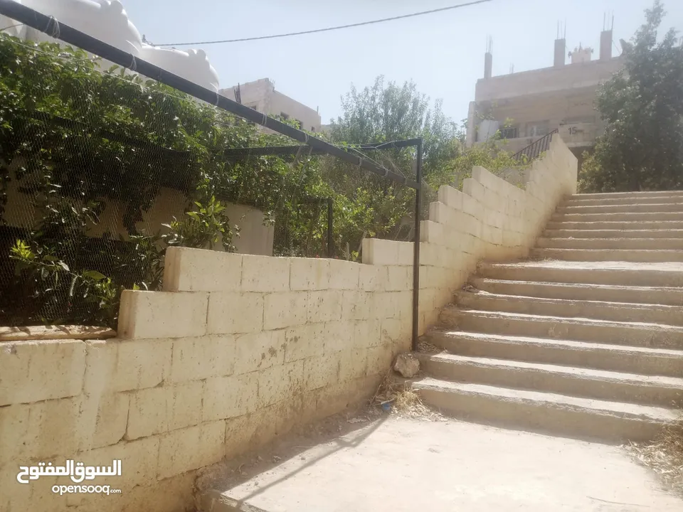 منزل مستقل جرش اسكان عجرمه  3غرف نوم 2حمام  صاله مع مطبخ امريكي  بلكونه  حديقه مساحه الارض 305