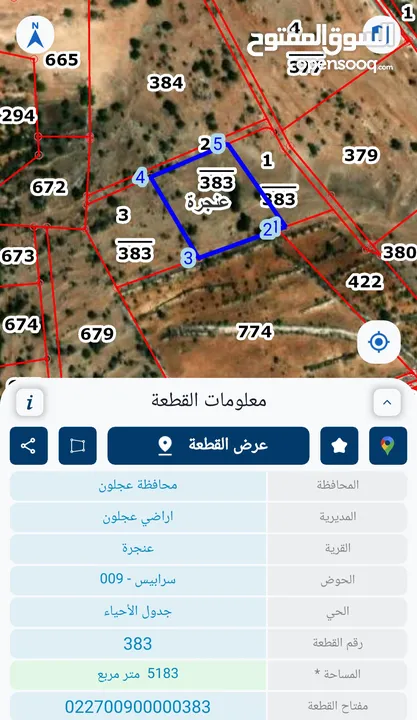 ارض للبيع عجلون_عنجرا سرابيس 9، مفروز وقوشان مستقل