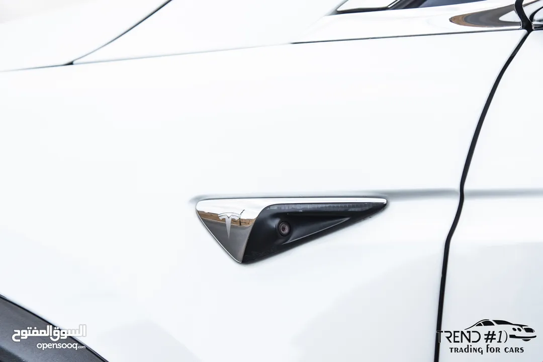 Tesla Model X 100D  2018