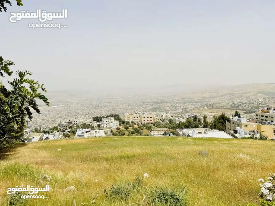 قطعة ارض للبيع في صويلح الكمالية