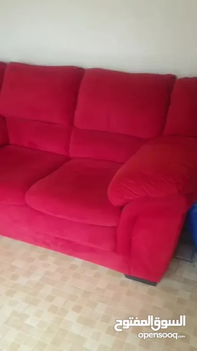 طقم كنب دب