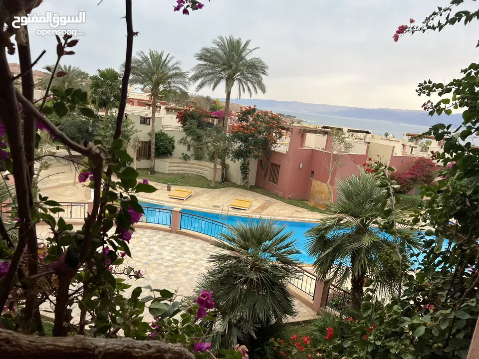 اجمل الشاليهات والفلل داخل العقبة من المالك مباشره Talabay resort