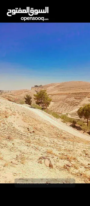 ارض للبيع بسعر لقطة في بيت لحم دار صلاح منطقة غنام   لجادين فقط