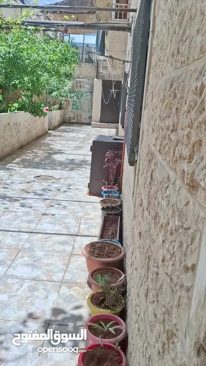 شقة للبيع مع حديقه