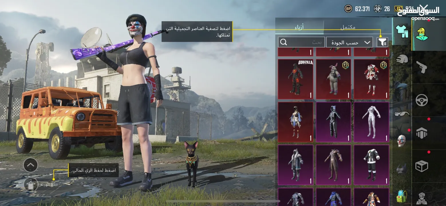 حساب ببجي للبيع لفل عالي 74