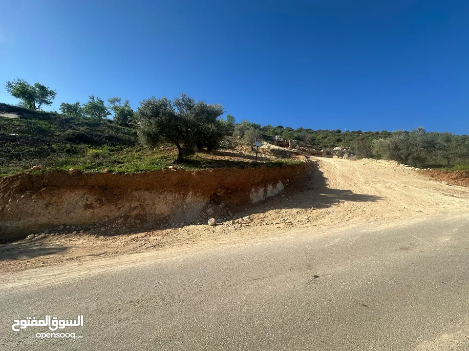قطع سكنيه (سكن ج ) منطقه(عين جنا/ عجلون) وسط البلد،مرتفعه واطلاله جميلة على القلعة واصل جميع الخدمات