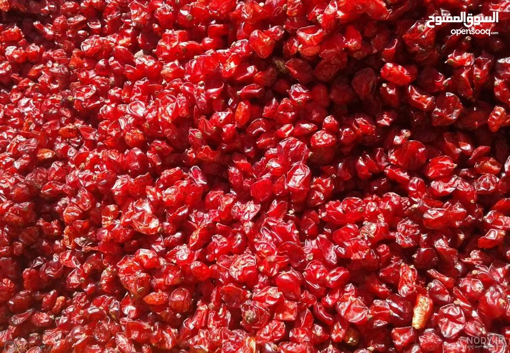 Premium puffy barberry with the highest quality