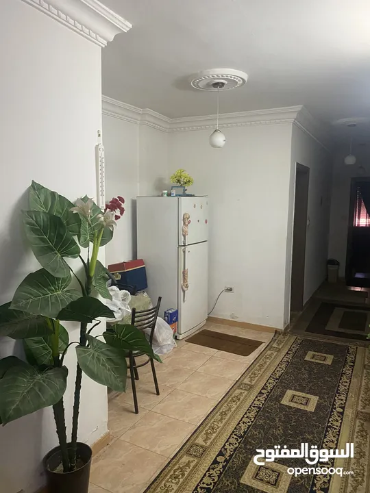 شقة ارضية للبيع بجبل الحسين ، شارع يافا ، عمارة 82 ، شقة 1 مع ترس وكراج سيارة