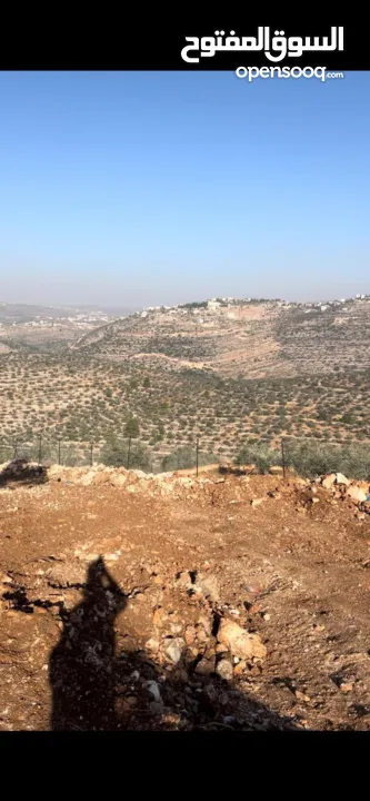 4 نمر ارض للبيع في منطقة خلابة قضاء رام الله من المالك مباشرة