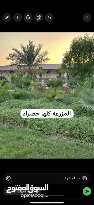 جوهرة الوفره