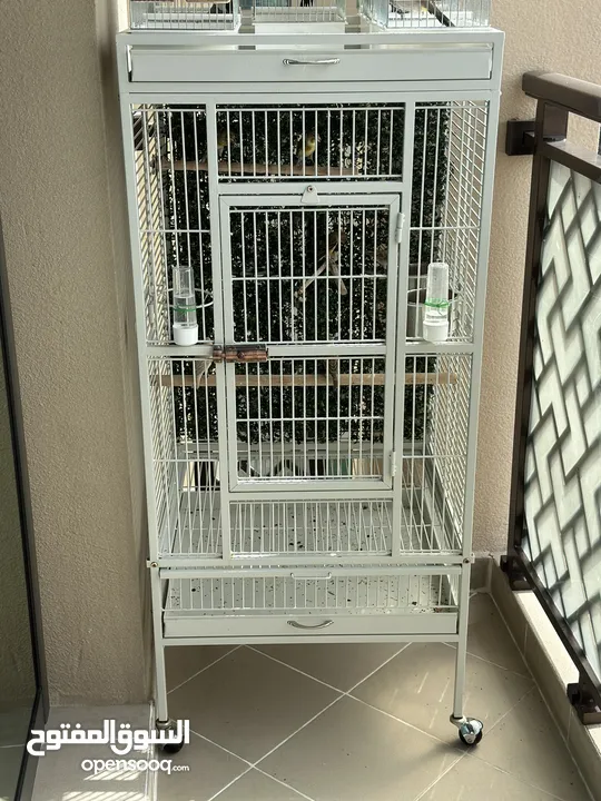 قفص طيور bird cage