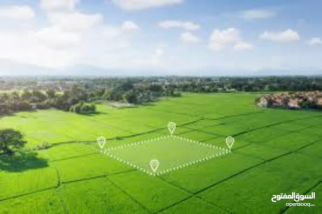 ارض كوشان مستقل تصنيف A  اطلالة رائعة في اجمل اراضي الناقورة قرب نابلس