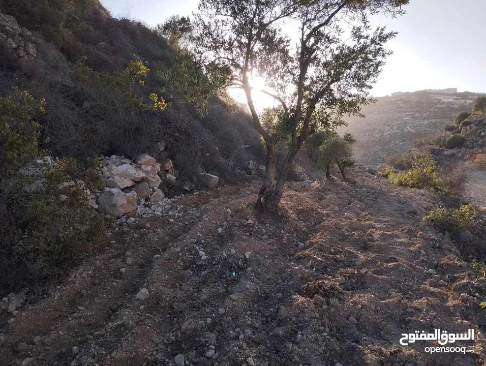 أرض للبيع للاستثمار بسعر مغري كثيييير