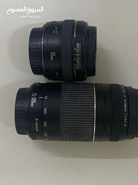 عدسة كانون 50mm / f 1.4 & عدسة كانون 75-300