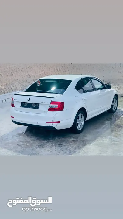 سكودا اوكتافيا برايفيت ترخيص 2013 فل بدون فتحه فحص ممتاز