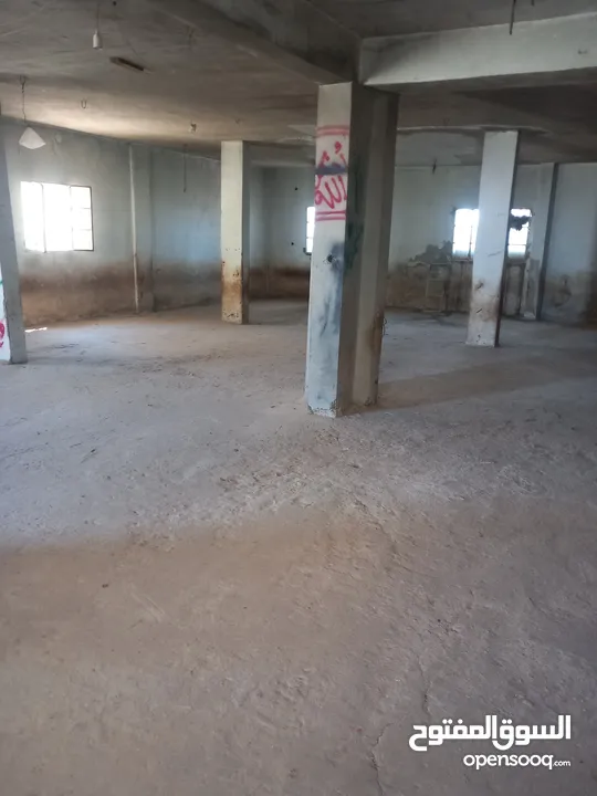 دورا / سنجر