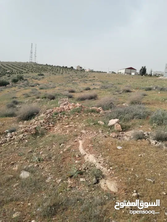 3600م للبيع رحاب بني حسن مرتفعه ومطله ع طريق اريد الزرقاء من المالك مباشره