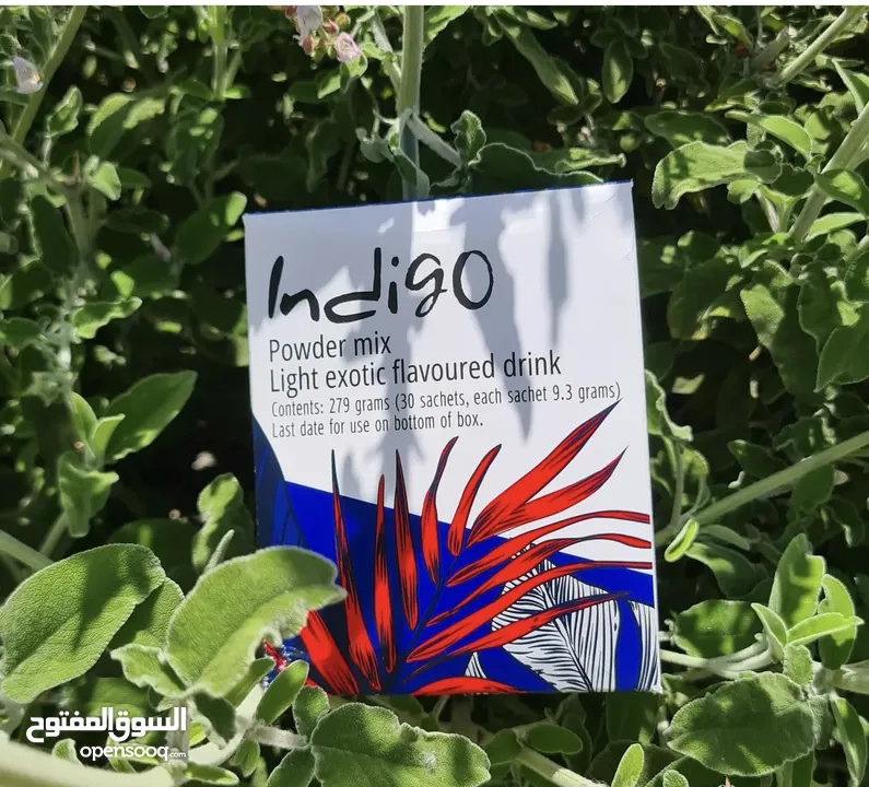 مشروب طاقة الانديغو(indigo) مشروب طاقة طبيعي مية بلمية مرخص من وزارة الصحة ميزة البيع جملة ومفرق