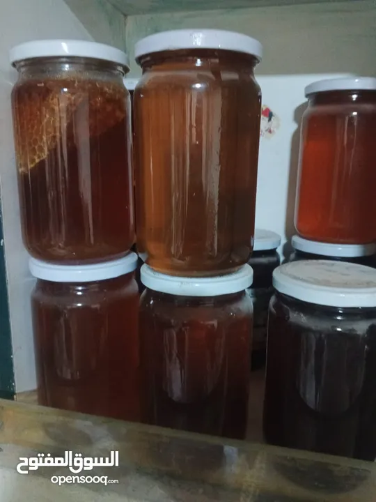 عسل نحل ممتاز ،جبنه بيضاء ممتاز بما يرضي الله