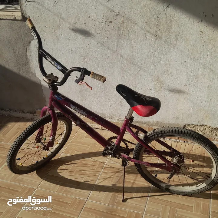 بسكليت نمرة 20 للبيع
