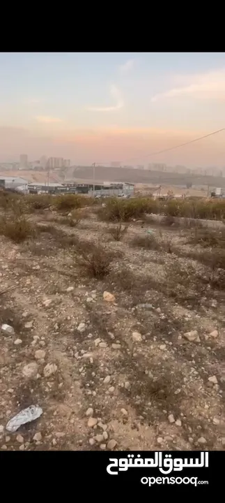 قطعه ارض للبيع في منطقه دير ابزيع مساحه 14دونم طابو سلطه