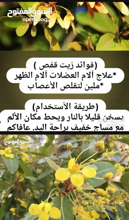 زيت القفص طبيعي عصار يد يستخدم للاعصاب.