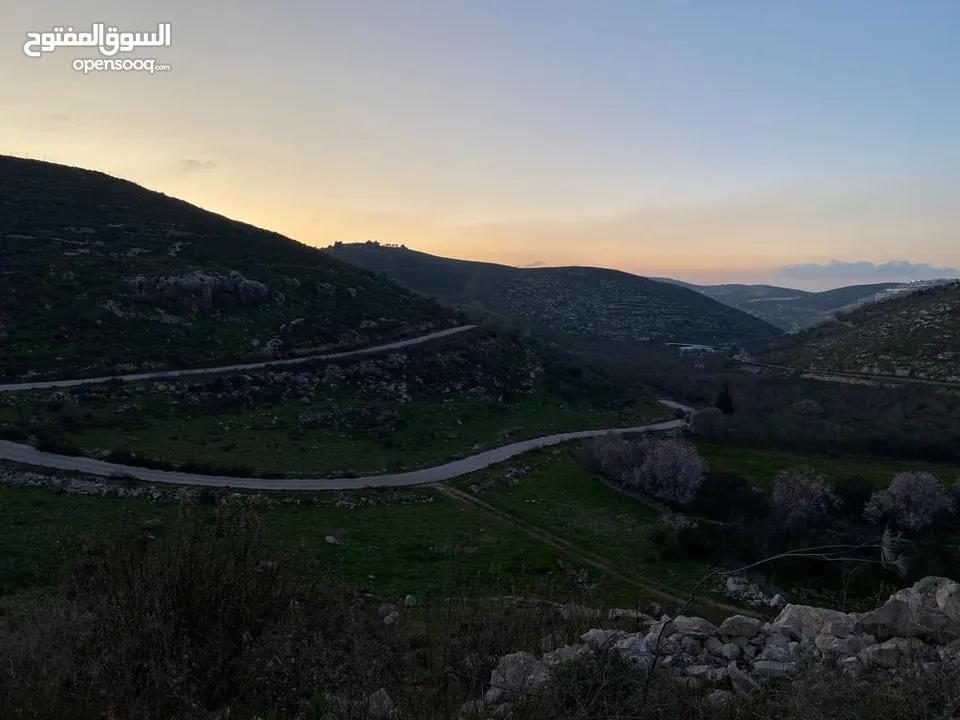 قطعة استثمارية مميزة – مشروع عصيرة 2