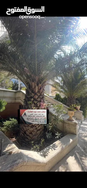 قصر للبيع في اجمل مواقع راس بيت جالا قريب من المعابر