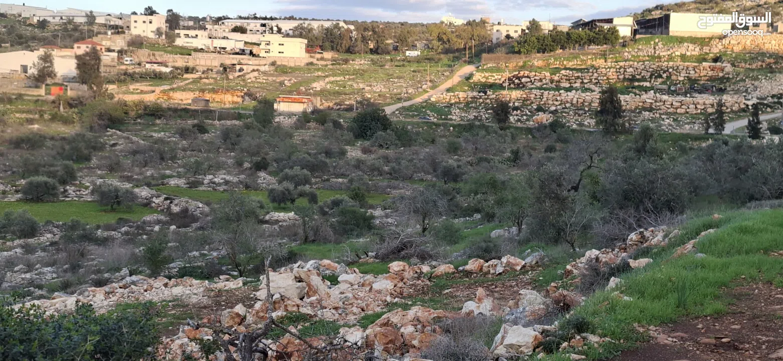 800متر طابوا فلسطيني في اجمل موقع بالكفريات واطلالة مميزةمنطقة( b)صالحة للبناء