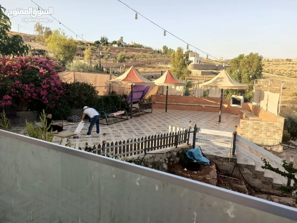 مزرعة العلياء للإيجار