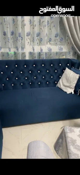 2 fancy dark blue sofas