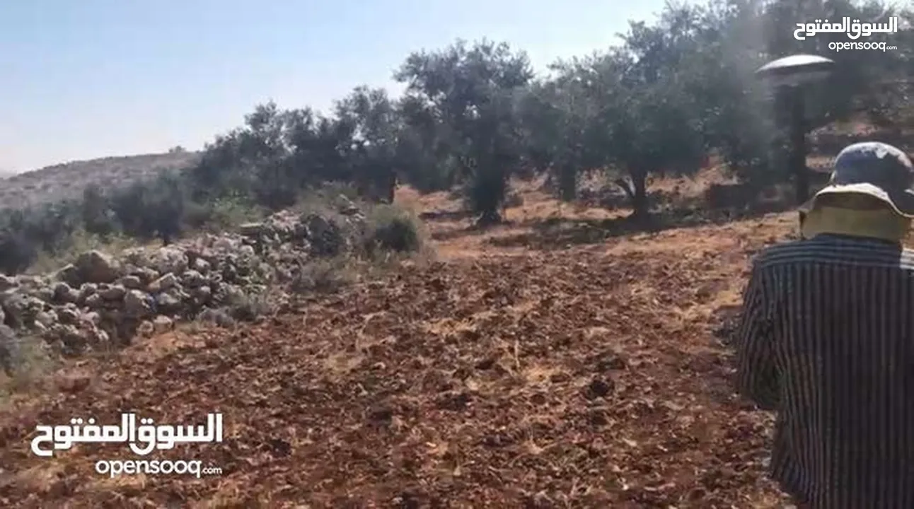 تملّك أرض مميزة