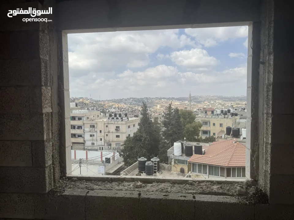 شقة عظم مقطعة للبيع