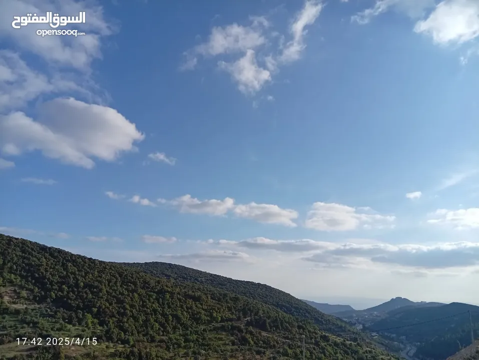 بيت العز والكرم