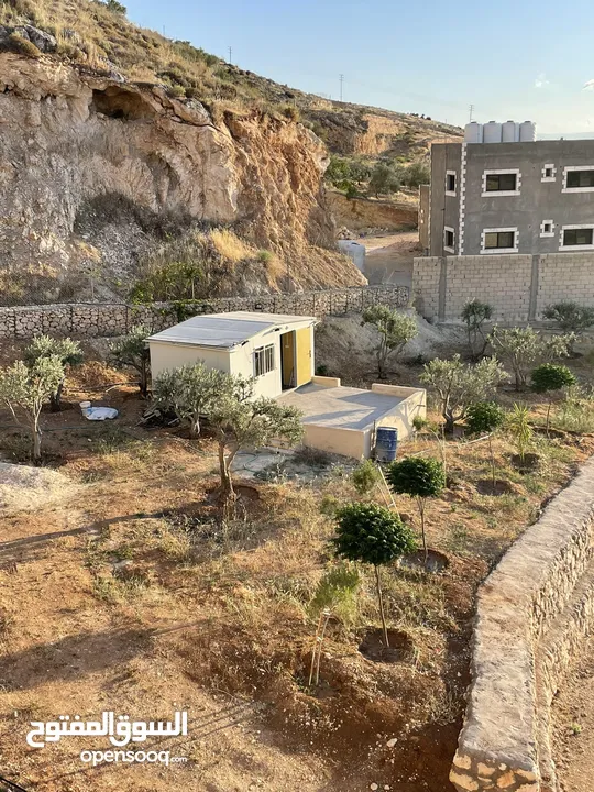 مزرعة في مغاريب السلط من المالك مباشرة