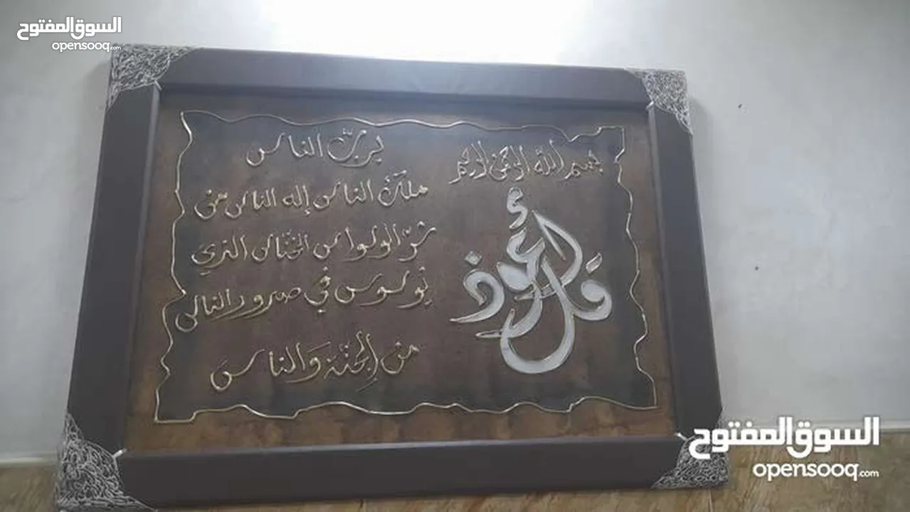 برواز برداي زيبرا ورفوف للبيع