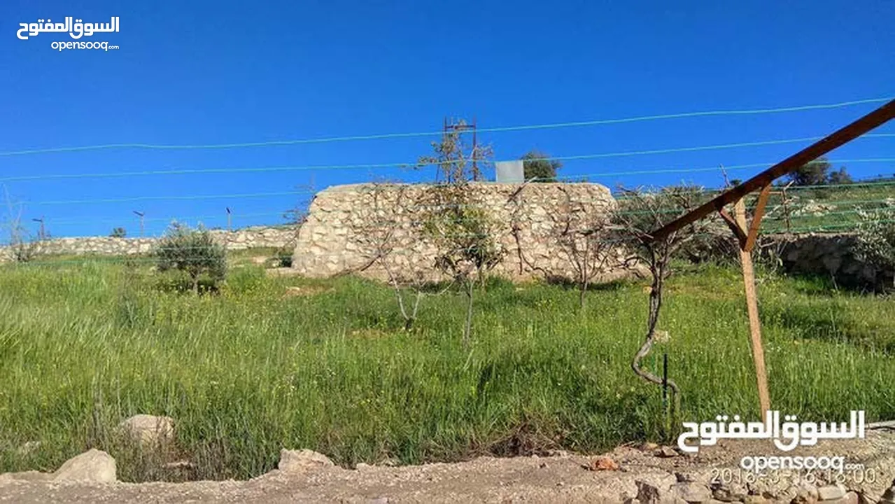 مزرعة في جرش للبيع من المالك مباشرة