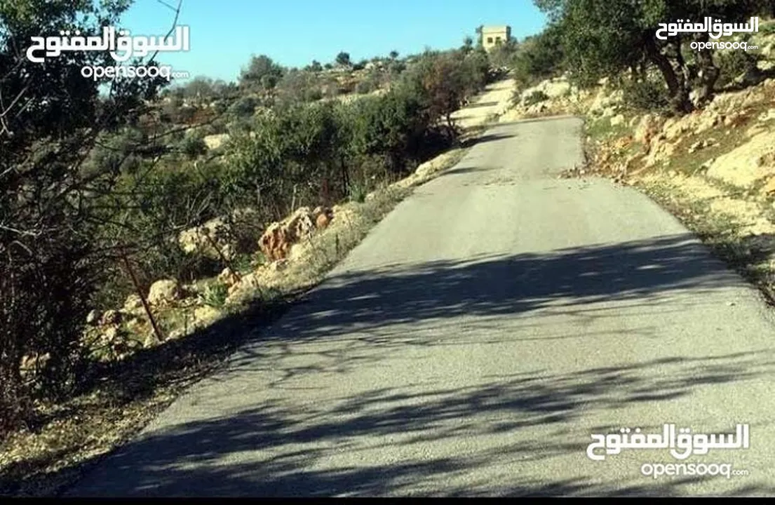 أرض استثماريه مميزه بجبال عجلون السياحيه