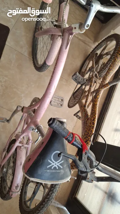 بسكليت اوروبي
