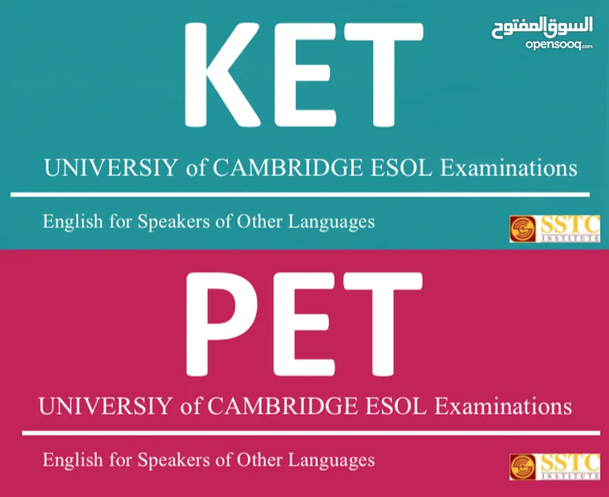 معلم لغة انجليزية كليه التقنيه والطيران الاستراليه بالرياض