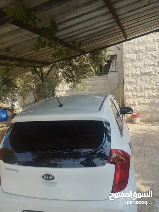 كيا مورننيج 2016 للبيع