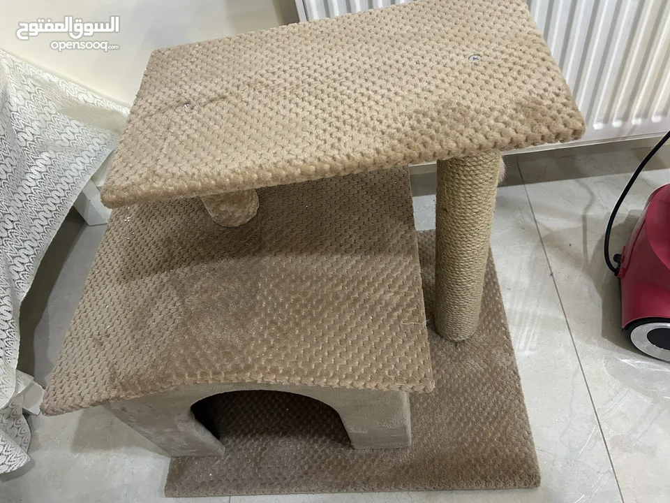 منزل قطط جديد