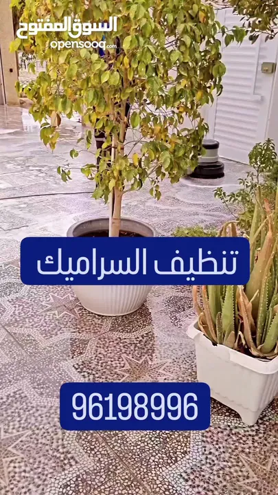 شركة تنظيف منازل