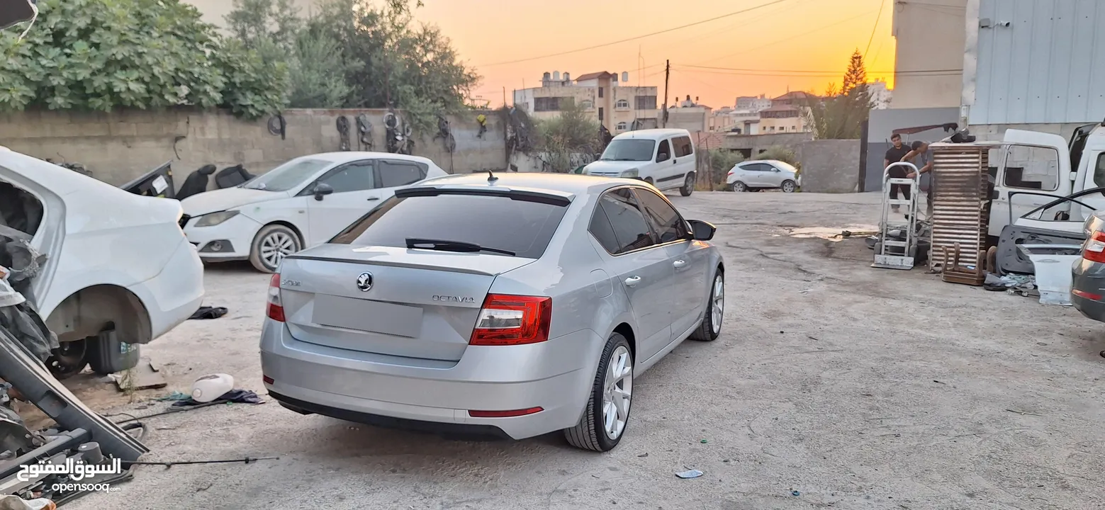 يزيد المصري