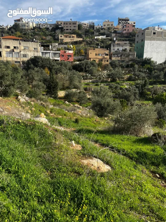 أرض للبيع بإطلالة غربية واصل جميع الخدمات