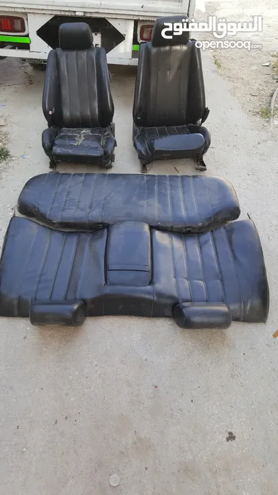 قطع بوز نمر