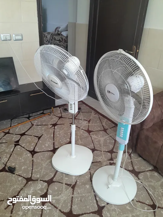 عفش بيت للبيع